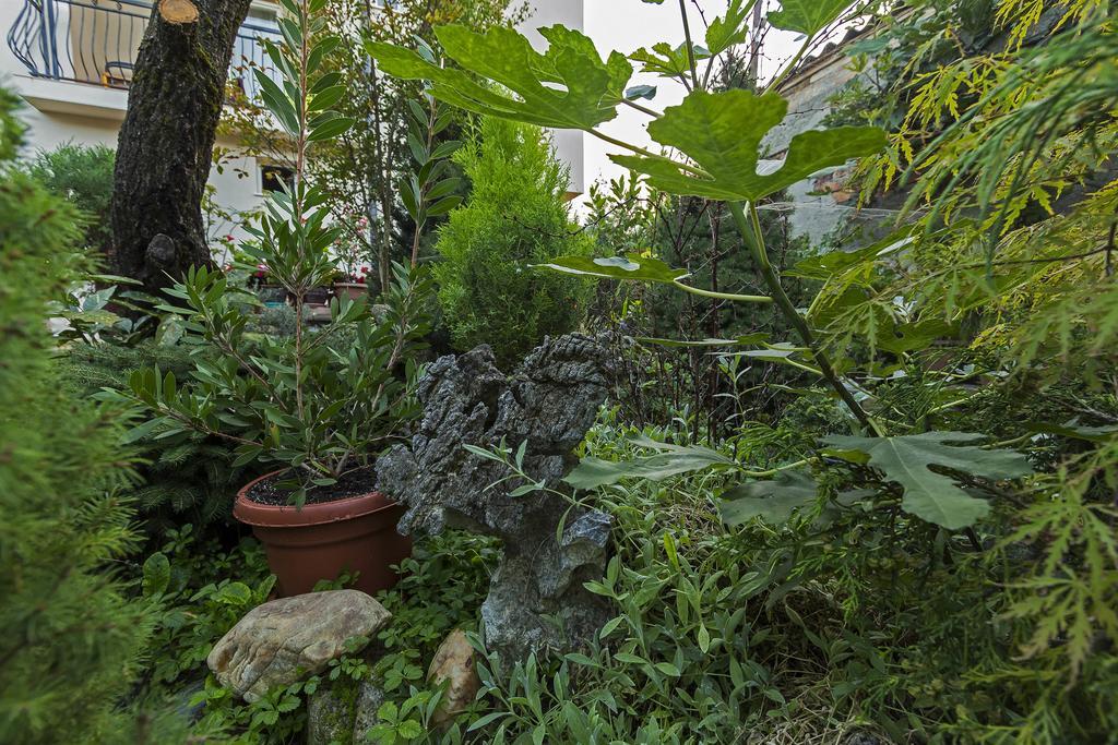 Bitrak Guest House Ohri Dış mekan fotoğraf