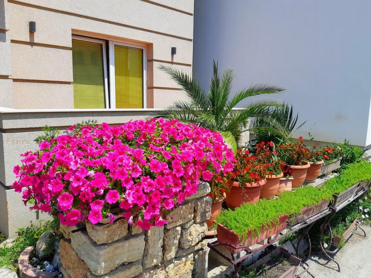 Bitrak Guest House Ohri Dış mekan fotoğraf